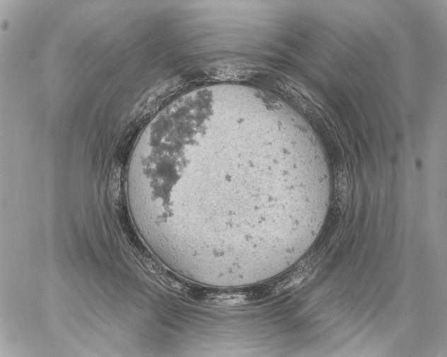 X0000061740554200512302214