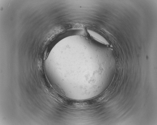 X0000061740556200512302214