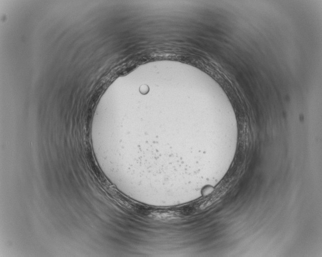 X0000061740557200512302214