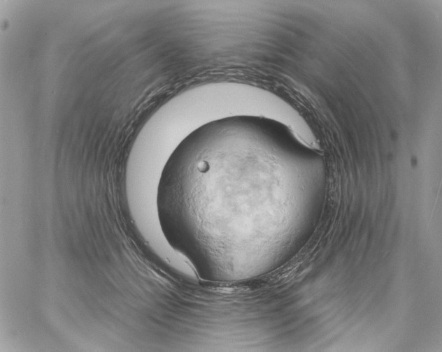 X0000061740558200512302214