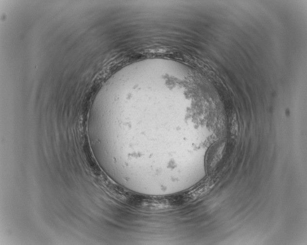 X0000061740559200512302214