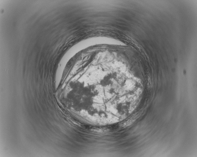 X0000061740561200512302214