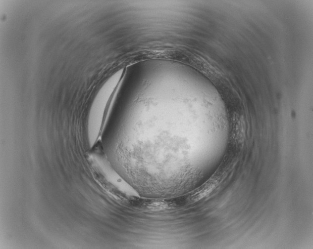 X0000061740562200512302214