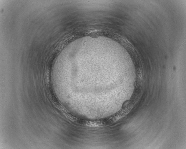 X0000061740565200512302214