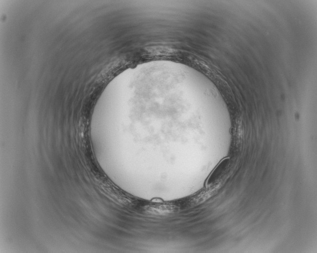 X0000061740567200512302214