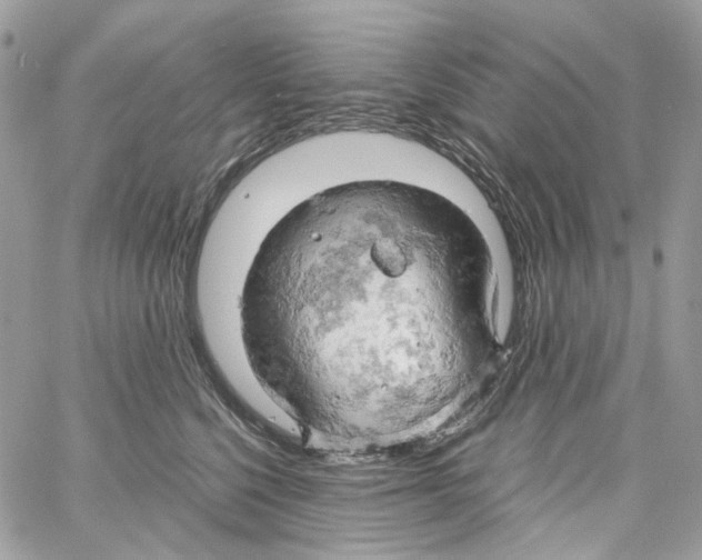 X0000061740568200512302214