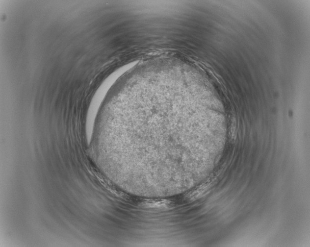 X0000061740569200512302214