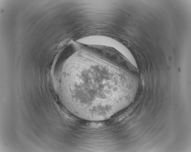 X0000061740570200512302214