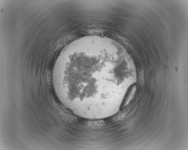 X0000061740571200512302214