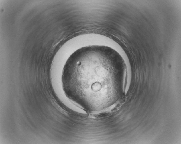 X0000061740572200512302215