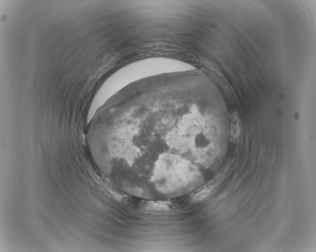 X0000061740573200512302215