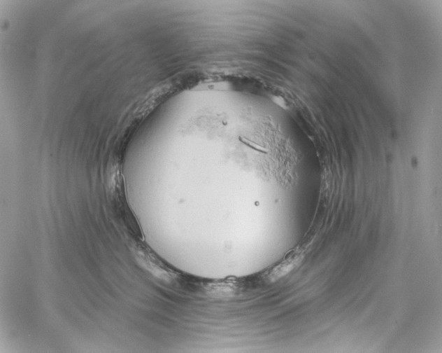 X0000061740574200512302215