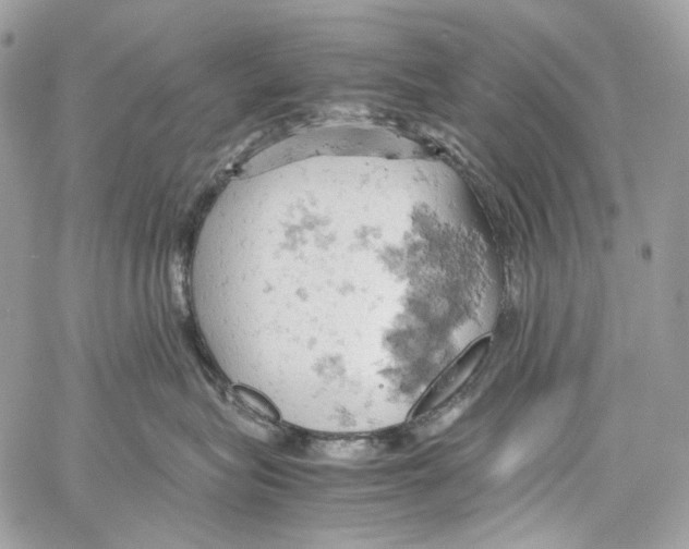 X0000061740575200512302215