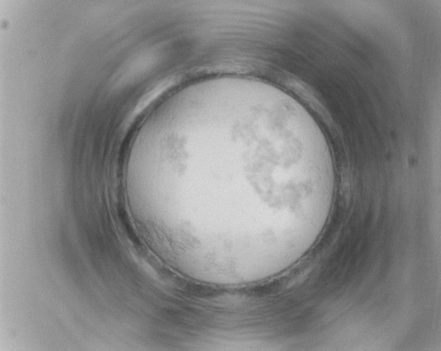 X0000061740578200512302214