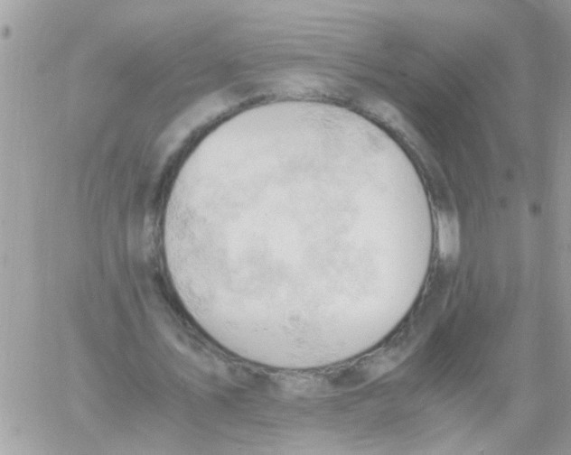 X0000061740579200512302214