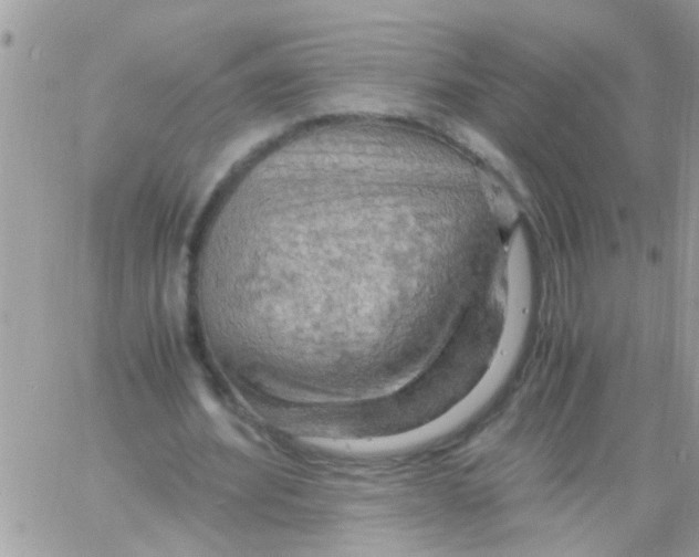 X0000061740580200512302214