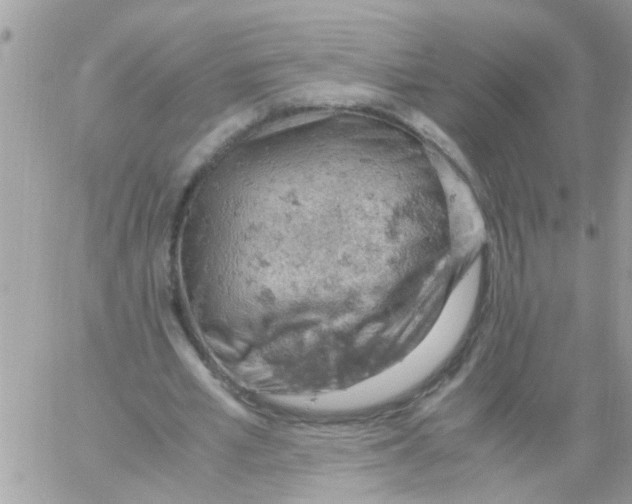 X0000061740581200512302214