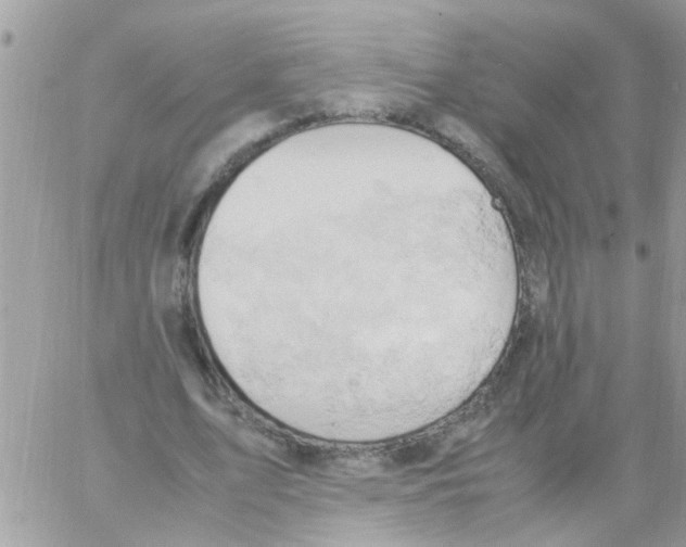 X0000061740583200512302214