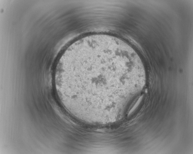 X0000061740584200512302214