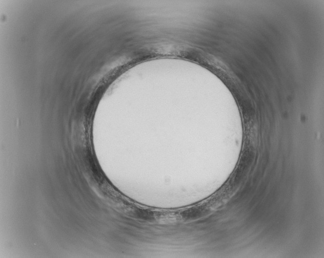 X0000061740587200512302214