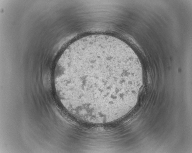 X0000061740588200512302214