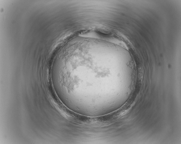 X0000061740589200512302214