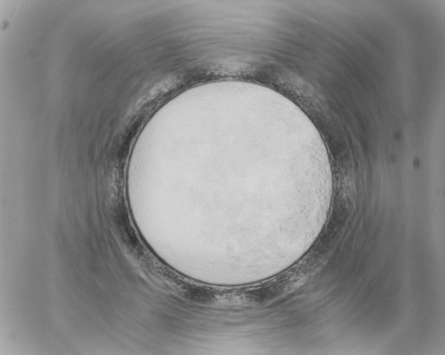 X0000061740591200512302214