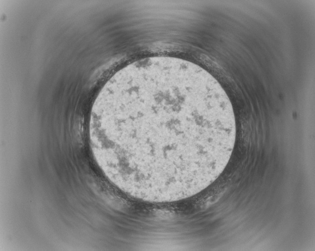 X0000061740592200512302214