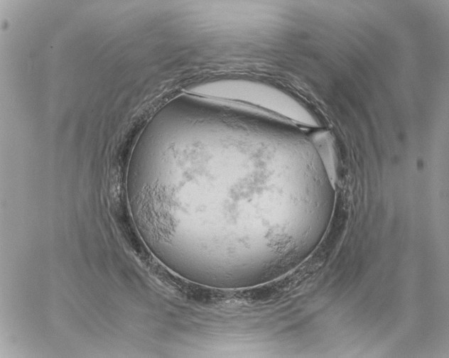 X0000061740593200512302214