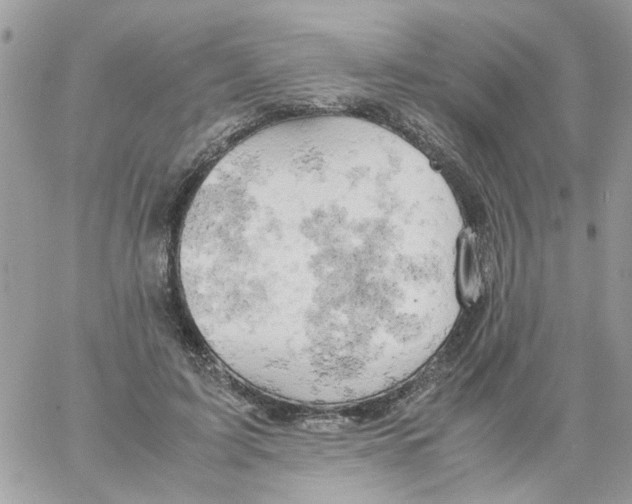 X0000061740595200512302213