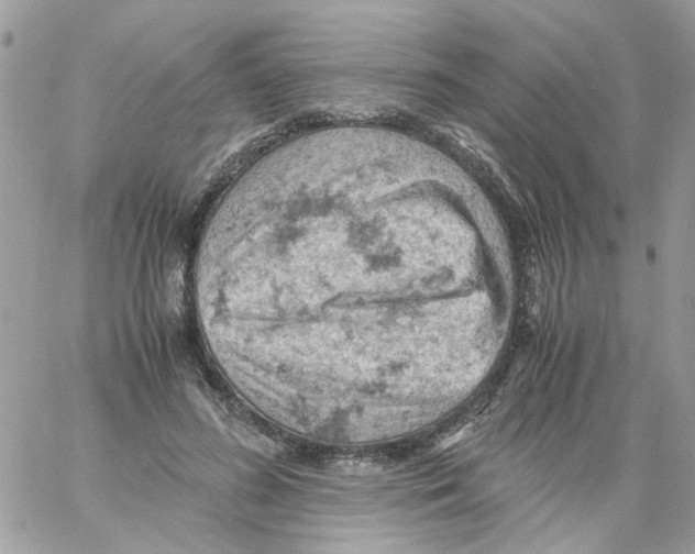 X0000061740596200512302213