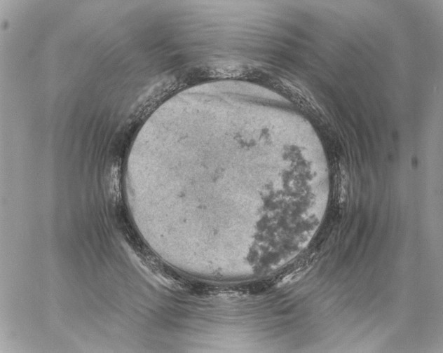 X0000061740598200512302213