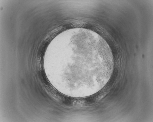 X0000061740599200512302213