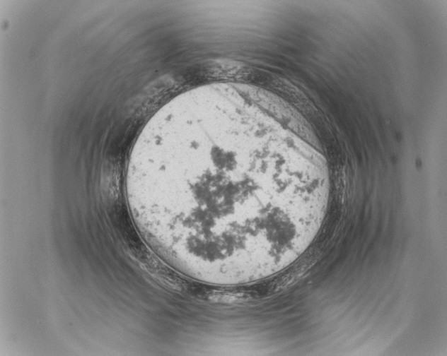 X0000061740602200512302213