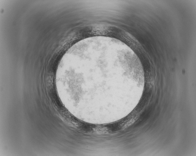 X0000061740603200512302213