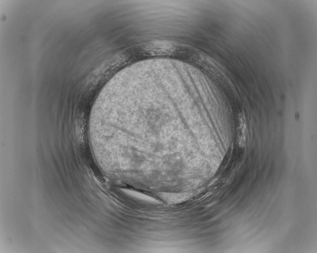 X0000061740604200512302213