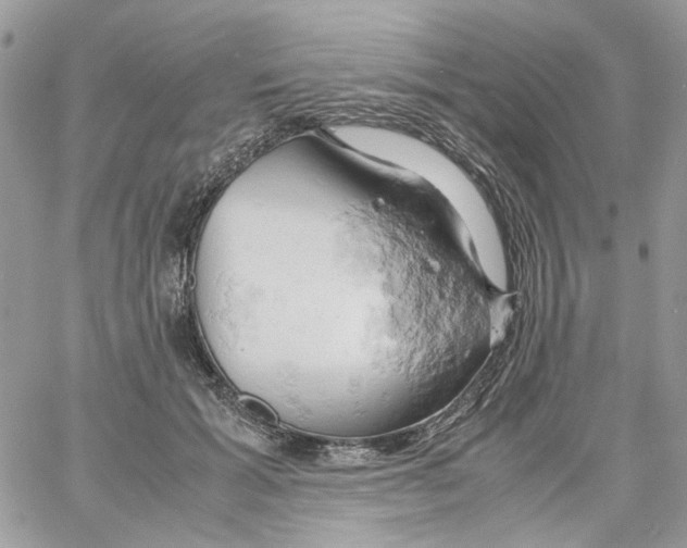 X0000061740605200512302213