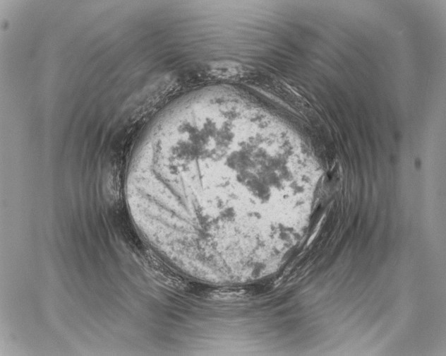 X0000061740606200512302213