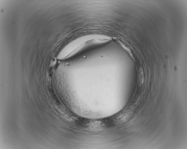 X0000061740609200512302213