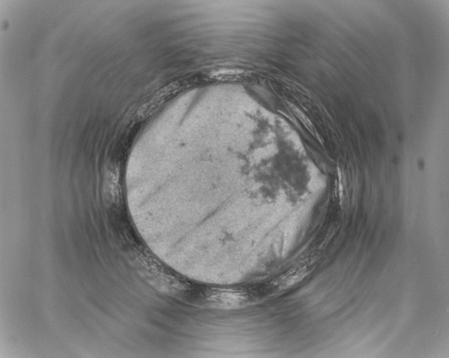 X0000061740610200512302213