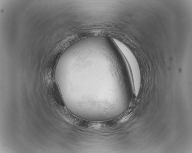 X0000061740611200512302213