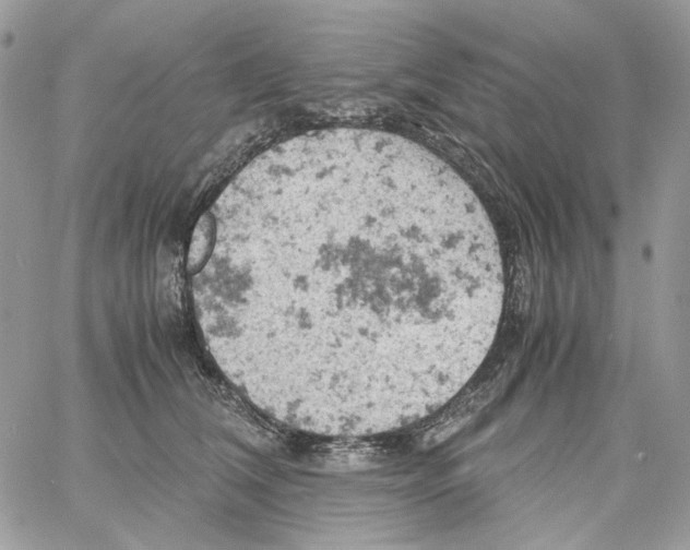 X0000061740612200512302213