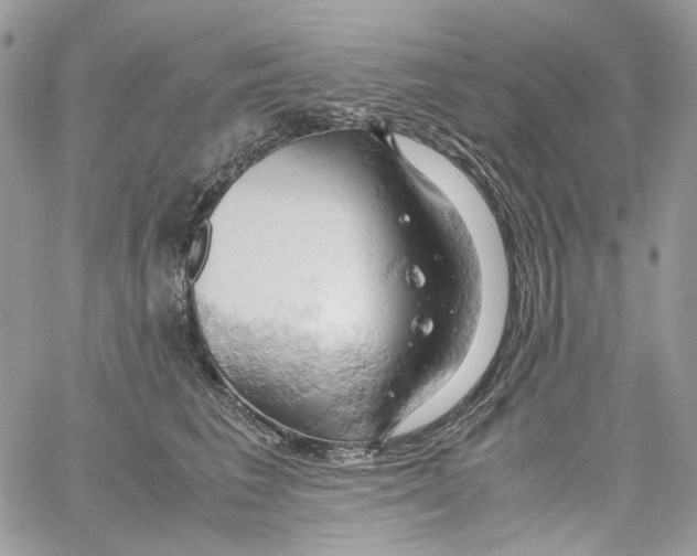 X0000061740613200512302213