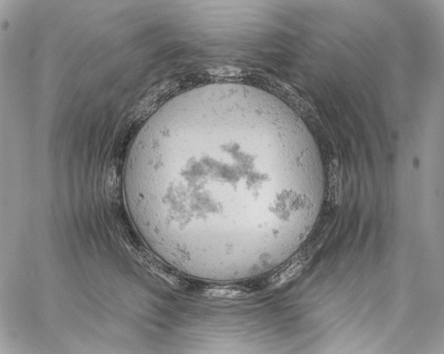 X0000061740614200512302213