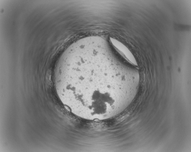 X0000061740615200512302213