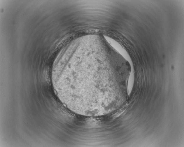 X0000061740616200512302213