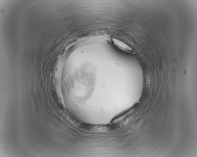 X0000061740617200512302213