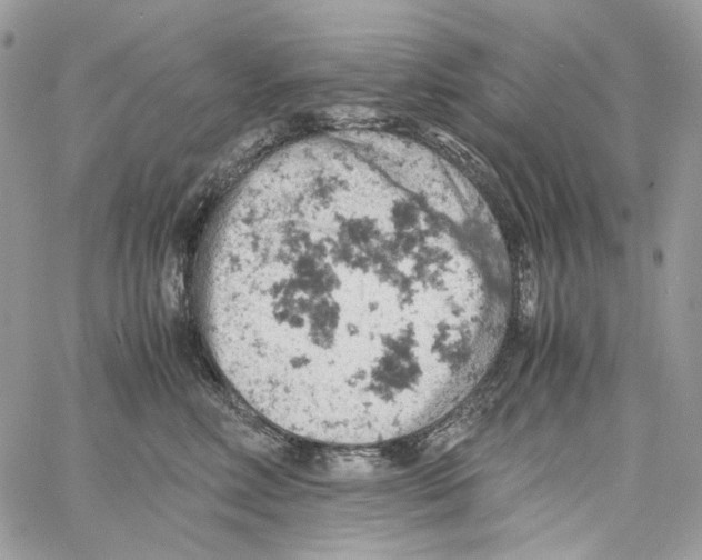 X0000061740618200512302213