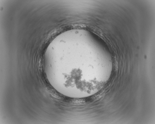 X0000061740619200512302213