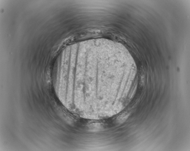 X0000061740620200512302213